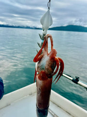 Winged Squid Jig White Glow Blue 15 OZ