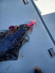 Pacman - Kiss Me Knot