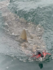 Mega Grub - 12" Tail Black