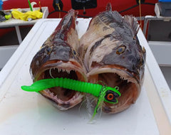 Pacman-Mean Green Bandit