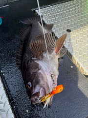 3 OZ AND 6 OZ UV Nova Orange Guppy Jigs