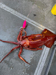 Squid Jig Pink glow