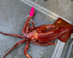 Squid Jig Pink glow deep sea durability
