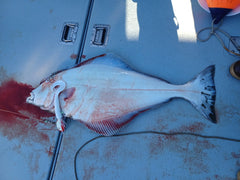 AKBBJIGS White grub tail