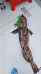Pacman Jig -Mean Green Bandit