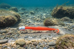 Big Eye Bullet Jig EEL Red and White 16 OZ