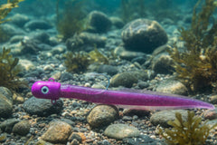 Big Eye Bullet Jig Eel Purple great for halibut, lingcod, rockfish