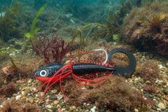 Guppy Jigs with grub tail Lady bug 10 oz