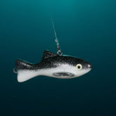 Downrigger dredge weight black & white with eyes, 10, 12, 15 lbs. deep sea durability