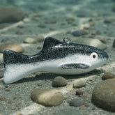 Downrigger weight , Dredge Fish Weight, Black with eyes
