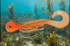 Moby Jig - AKA Yellow Eye