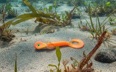 Moby Jig - AKA Yellow Eye