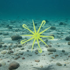 Decagon Digler- Yellow Sunshine
