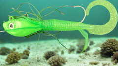 10 Ounce Mean Green UV Guppy Jig with grub tail.