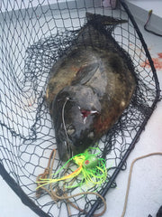 Octopus Jig - Mean Green UV