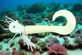 Moby Jig - White Ghost deep sea durability