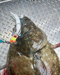 Pacman Jig - Puffin great for Halibut, Lingcod, Rockfish, glow and UV