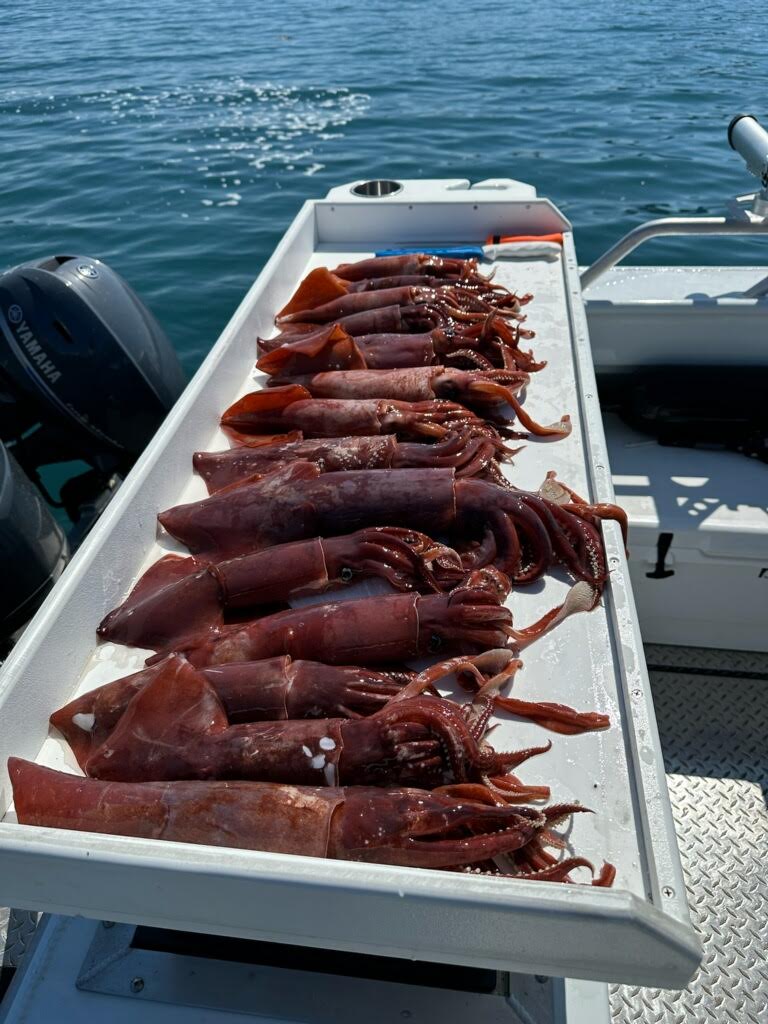 WINGED SQUID JIGS 15 OZ