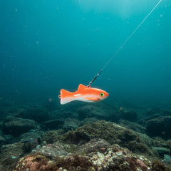 UV Alaska Yelloweye Dredge