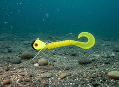 Moby Jig  - Bumblebee