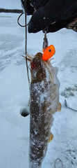 3 OZ AND 6 OZ UV Nova Orange Guppy Jigs