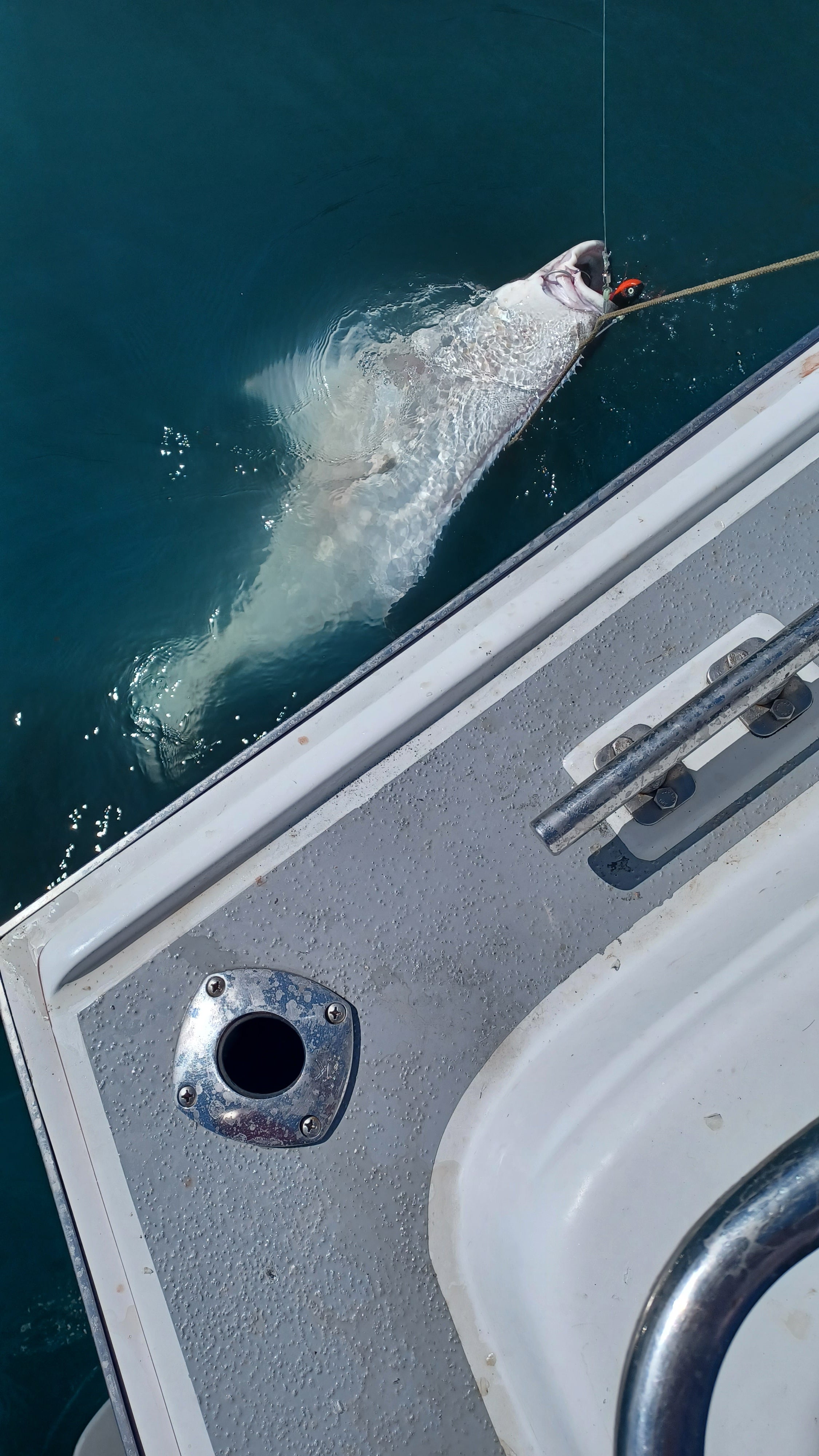 Guppy Jigs with grub tail Lady bug 10 oz