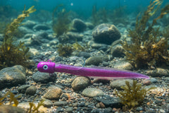 16 OZ Big Eye Bullet Jig Eel Purple