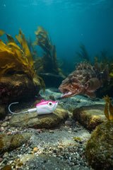 Big Boy Guppy Just Tip Pink jig