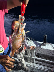 Squid Jig Red Glow deep sea durability
