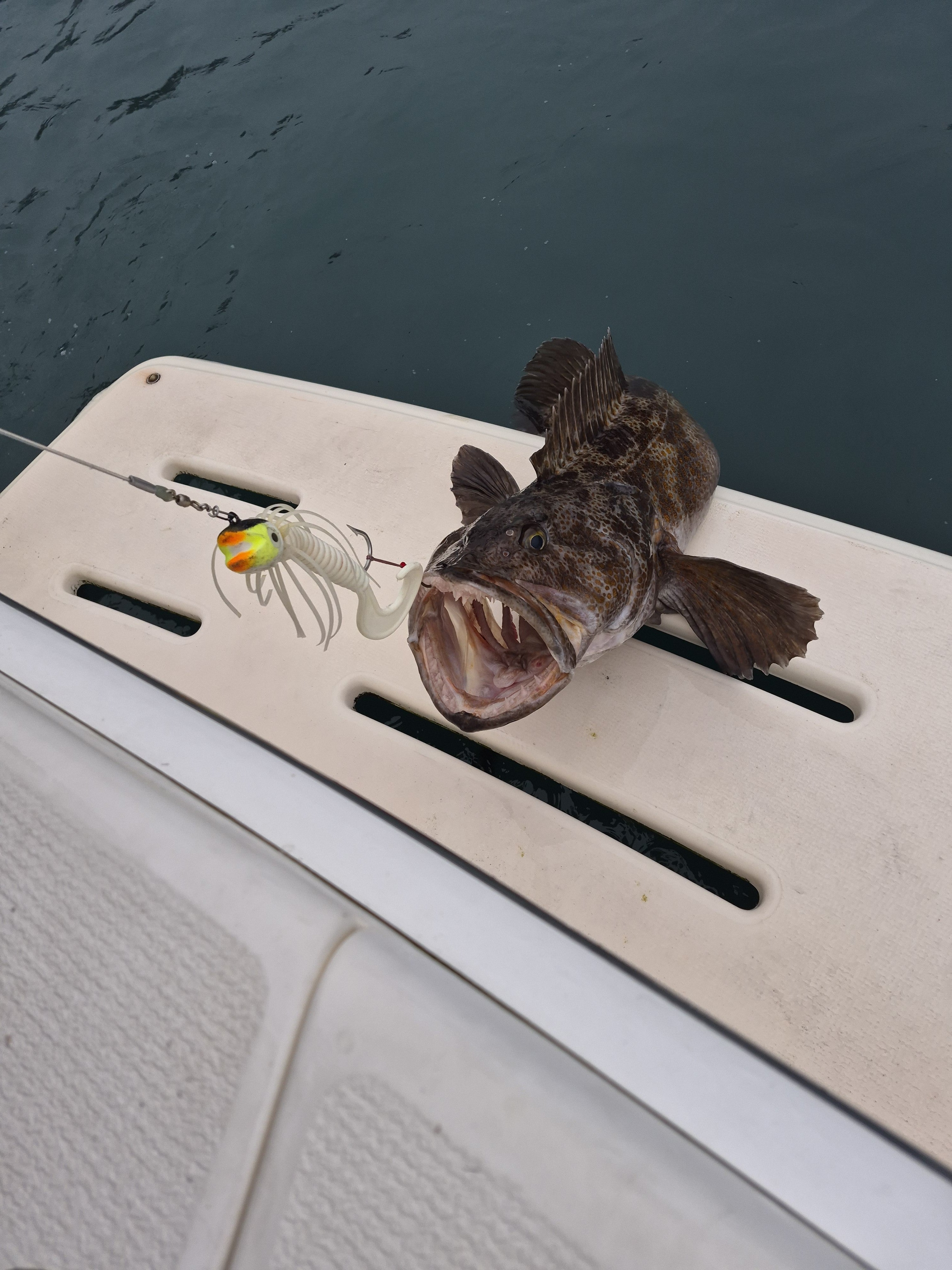 Pacman Jig - Puffin great for Halibut, Lingcod, Rockfish, glow and UV