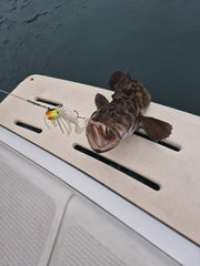 Pacman Jig - Puffin great for Halibut, Lingcod, Rockfish, glow and UV
